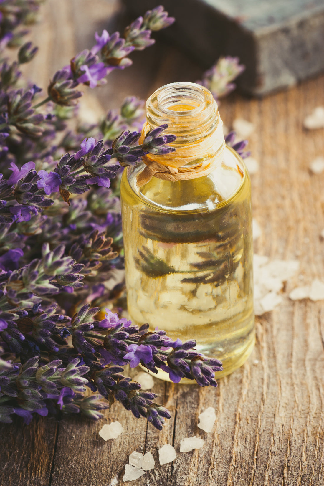 benefits of lavender essential oil in lip balm