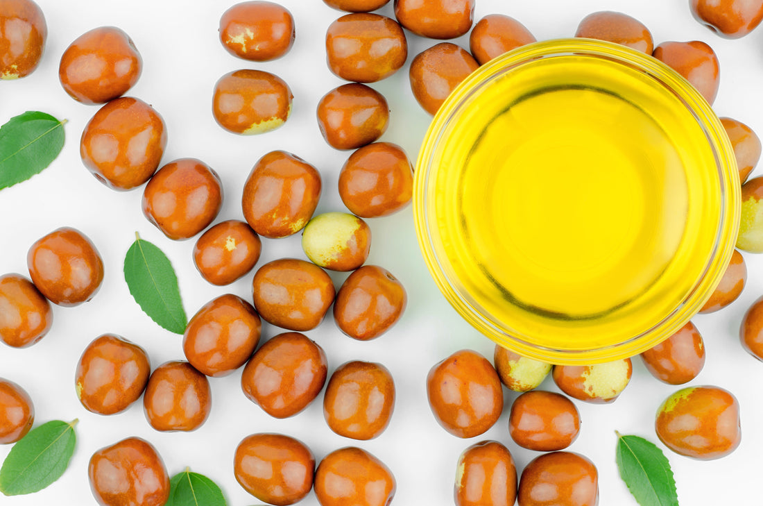 Golden jojoba oil in a glass bowl with seeds – natural moisturizer for dry lips and skin