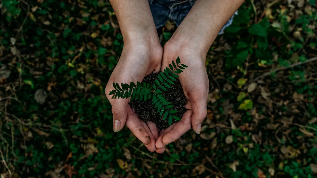 Sustainability in Beauty Packaging: What's Changing in 2026
